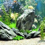 Kanki Pet KP7045034 Akvaryum Arka Fon Yapıştırma 70 x 45 CM