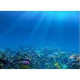 Kanki Pet KP8550009 Akvaryum Arka Fon Yapıştırma 85 x 50 CM