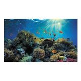 Kanki Pet KP8550021 Akvaryum Arka Fon Yapıştırma 85 x 50 CM