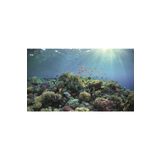 Kanki Pet KP8550030 Akvaryum Arka Fon Yapıştırma 85 x 50 cm