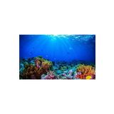 Kanki Pet KP8550032 Akvaryum Arka Fon Yapıştırma 85 x 50 cm