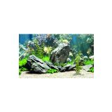 Kanki Pet KP8550034 Akvaryum Arka Fon Yapıştırma 85 x 50 CM