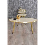 Kanonik Education Zigon Sehpa ve Orta Sehpa Elips Krem Renk Gold Metal Ayak Set Modern Tasarım ve Fonksiyonel Kullanım
