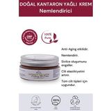 Kantaron Yağlı Yoğun Bakım Kremi 40 ml. %100 Doğal
