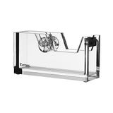 Kantek Şeffaf Akrilik Ofis Bant Dispenseri, Standart 3/4 "Yedek Rulolara, Ofis Düzenleyicisine, Masa Aksesuarına, 1.8" x 5.6" x 2.9", Tek Elle Dağıtım için Kaymaz Ayaklar