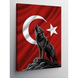 Kanvas Tablo Kurt Ve Türk Bayrağı, 70 x 100 CNVSDKEY139029