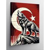 Kanvas Tablo Türk Bayrağı Ve Kurt, 70 x 100 CNVSDKEY141750
