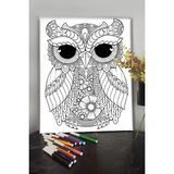 Kanvassepetinet Baykuş 1 40X30CM Çocuklar Için Özel Boyanabilir Tablo Tuval Mandala Kalem Hediyesi Yoktur.