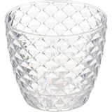 Kap/2 Şeffaf Orkide Saksısı Tabaklı 14CM, 1,4 Litre Şeffaf