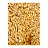 kapadokya ottoman kuruyemiş ürgüp sütlü kabak çekirdeği %100 doğal sütle kavrulmuş 1kg