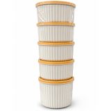 Kapaklı Plastik Saklama Kabı 5'li Set 450 ml | Erzak Saklama Kabı,Gıda Saklama Kabı, Mutfak Düzenleyici, Bakliyat, Kuruyemiş, Baharat, Atıştırmalık ve Kuru Gıda Saklama Kutusu