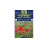 KAPALI TOHUMLULAR ANGIOSPERMAE - KOLEKTIF