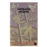 KAPITALIZMI ANLAMAK - DEMET YILMAZ;FERHAT AKYÜZ;FUAT ERCAN;KORAY R. YILMAZ;TOLGA TÖREN;ÜMİT AKÇAY