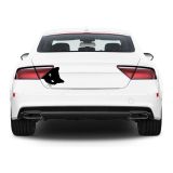 Kaplan Kedi Araba Stickerı Vinil Sticker