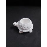 Kaplumbağa Saksı 9x7cm