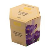 Kar Çiçeği Kokusu Alkolsüz Esans 6Ml. 6'lı Paket