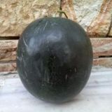 Kara Karpuz Tohumu? : 10 Ad.