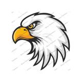 Kara Kartal Beşiktaş 1903 Şahin Sticker 00958