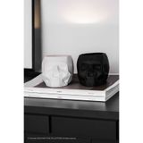 KARA TEKE COLLECTIONS Modern, Şık Ve Dekoratif Geometrik Kafatası Çok Amaçlı Beton Kalemlik ve Saksı - 2'li