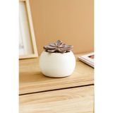 KARA TEKE COLLECTIONS Modern, Şık Ve Dekoratif Küre Beton Sukulent Saksısı (BEJ - KIRIK BEYAZ)