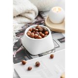 KARA TEKE COLLECTIONS Modern, Şık Ve Dekoratif Yıldız Tasarımlı Beton Sukulent Saksısı - Büyük Boy (BEJ - KIRIK BEYAZ)