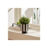 Karaca Home Belissia Saksı 12.5x12.5x13.5 cm