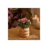 Karaca Home Paco Saksılı Yapay Bitki Terracota 7.5x7.5x12 cm