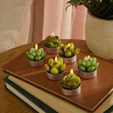 Karaca Home Sukulent 6'lı Tealight Mum - Yeşil - 6 Adet