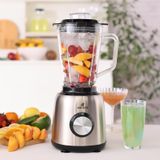 Karaca Inox 1.5 lt Cam Hazneli Smoothie Blender