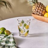 Karaca Pina Akrilik Su Bardağı 440 ml Şeffaf - Beyaz