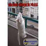 KARADENİZ DEKOR AĞLARI Balkon Filesi (Kalın - Siyah) 2.5 x 20 (Kuş Filesi, Kedi Filesi, Kuş Ağı, Kuş Önleme Filesi)