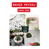Karadeniz Saksı Teraryum Taşı Dere Çakıl Taşı 2 Kg