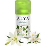 Karahanbey Alya Nature's Scents White Flowers - Beyaz Çiçekler Oda Kokusu Yedek Makine Spreyi 250 ml