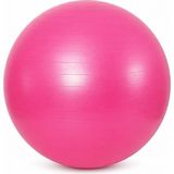 Karahanbey Busstier Pilates Topu 65 Cm, Denge ve Egzersiz Çalışmaları Için Fitness Topu, Evde Spor ve Esneme A