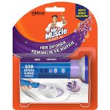 Karahanbey Mr Muscle Lavanta Kokulu Klozet Jeli (1 Tüp x 6 Jel Disk)