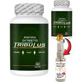 Karahanbey Panax 2 Kutu Panax Ginseng Tribuluslu Fenugreekli Shilajitli Hornygoatlı 90 Lı Caps + Afrodizayn Ya