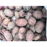 Karahasanoğlu Tarım Yerli Erkenci Kırmızı Tohumluk Patates 1 kg