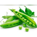 Karahasanoğlu Tarım Yerli İri Tane Bezelye Tohumu (İlaçlı) 500 Gr
