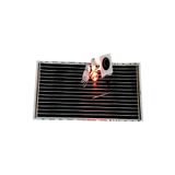 KARAHİSAR KULUÇKA 25x80 Çift Duylu Analog Termostatlı Karışık Renkli Isı Ampüllü Full Set Karbon Film Isıtıcı KRHKFK25X80297