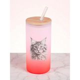 Karakalem Kedi Baskılı 600 ml Cam Matara- Su Matarası, Suluk Matara, Cam Pipetli Matara