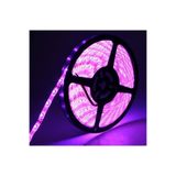 KaraköyOnline 5050 3çipli 24v Dış Mekan Mor Şerit Led
