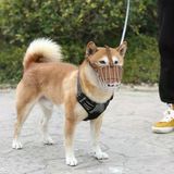 Karamel Pet Metal Deri Köpek Ağızlığı S 30 Cm