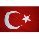 KARANFİL TÜRK BAYRAĞI 40*60