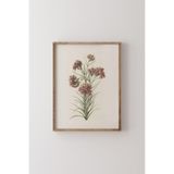 Karanfilli Dal - Ahşap Desenli Çerçeve, Ceviz, 50 x 70