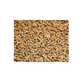 karaoğlan tarım Karaoğlan Cat Pellet Peleti Kedi Kumu 10 Lt Çam (PELET)