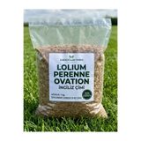 karaoğlan tarım Lolium Perenne Ovation İngiliz Çimi Tohumu 1 kg (8-10 Günde Hızlı Çimlenme - Şeffaf Paket)