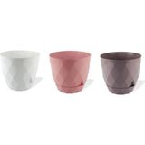 Karasu Yakamoz Saksı No:5 9,20L - Pembe