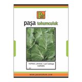 Karden Yaprak Lahana Tohumu 25 Gr.