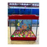 Kare Mini Akvaryum Kırmızı Renk 20X20x15 Cm