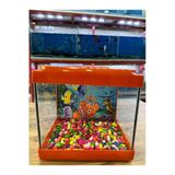 Kare Mini Akvaryum Turuncu Renk 20X20x15 Cm